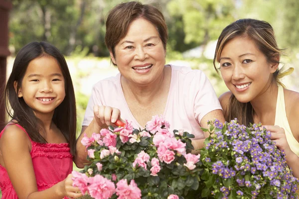 Nieta con la abuela y la madre jardinería juntos — Foto de Stock