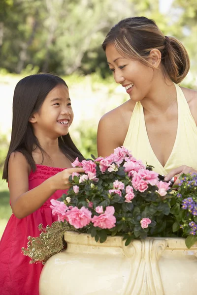 妈妈和女儿一起种花 — 图库照片