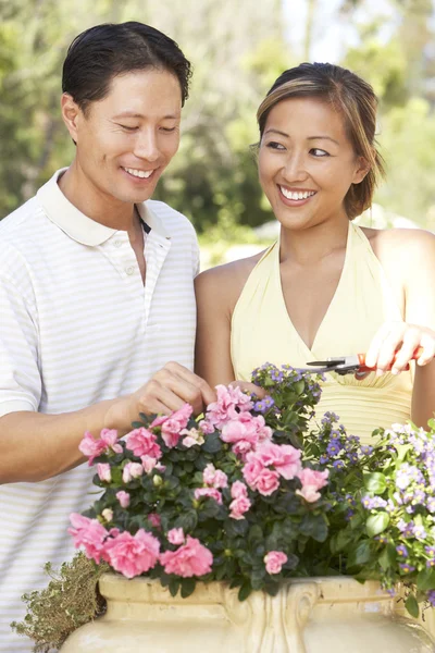 Young Couple Working Garden — Stock Photo, Image