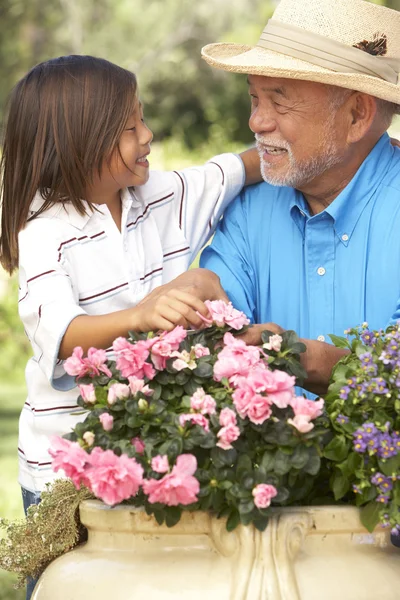 Grandfather Grandson Gardening Together Royalty Free Stock Images