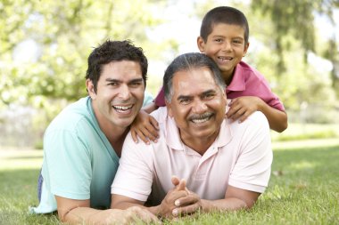 Grandfather With Son And Grandson In Park clipart