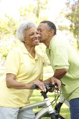 Senior Couple Riding Bikes In Park clipart