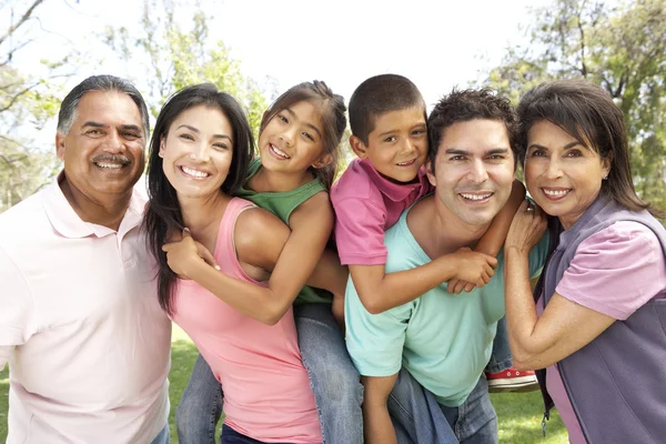 Extended Family Group Park — Stock Photo, Image