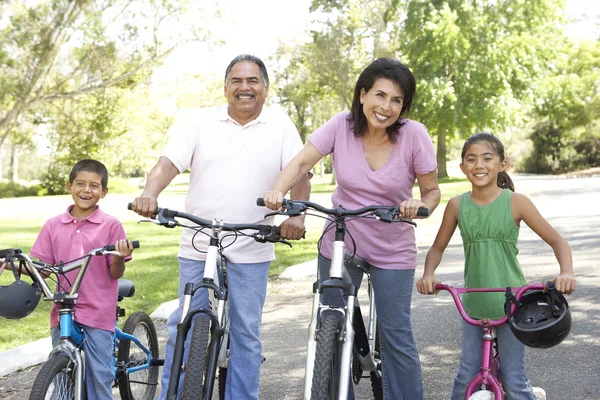 Grootouders in park met kleinkinderen paardrijden fietsen — Stockfoto