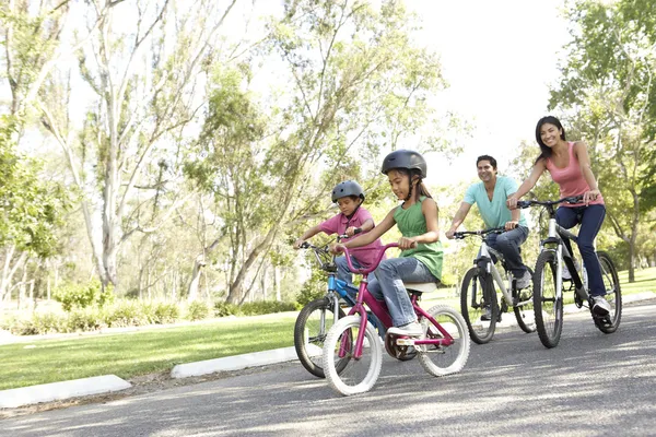 Bicicletas Familiares Jóvenes Parque — Foto de Stock