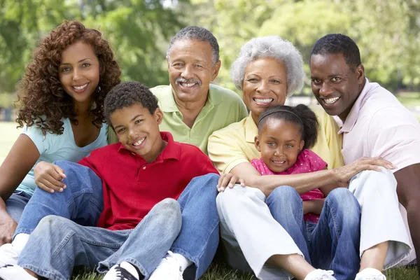 Portrait Of Extended Family Group In Park — Stock Photo, Image
