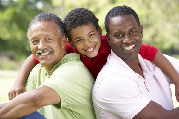 Grandfather With Son And Grandson In Park — Stock Photo, Image
