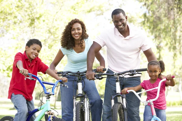 Молодые Семейные Велосипеды Парке — стоковое фото