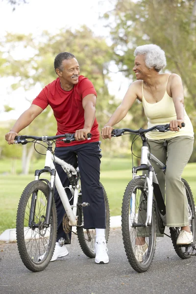 Pareja de ancianos montar bicicletas en el parque —  Fotos de Stock