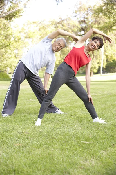Pareja de ancianos haciendo ejercicio en el parque — Foto de Stock