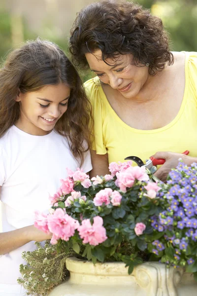 Grootmoeder en kleindochter tuinieren samen — Stockfoto