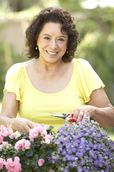 Senior vrouw tuinieren — Stockfoto