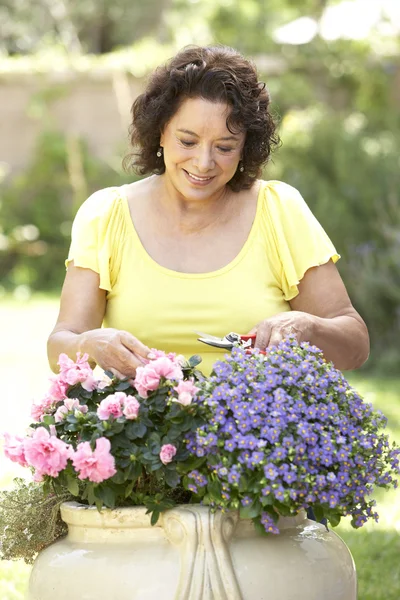 Senior vrouw tuinieren — Stockfoto