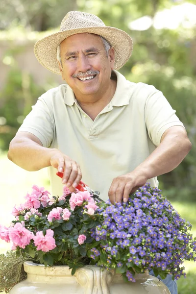 Homem Sênior Jardinagem — Fotografia de Stock