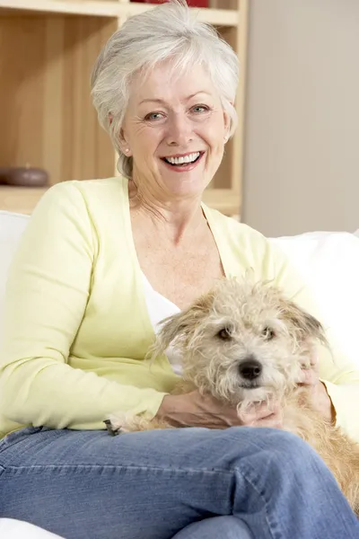 Senior Mulher Segurando Cão Sofá — Fotografia de Stock