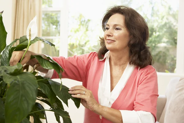 Senior Woman Home Looking Houseplant — Stock Photo, Image