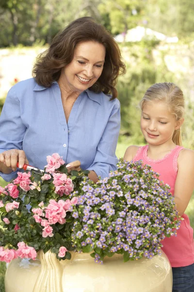 Grootmoeder met kleindochter tuinieren samen — Stockfoto