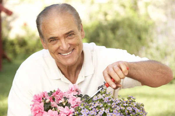 Starší muž, zahradnictví — Stock fotografie