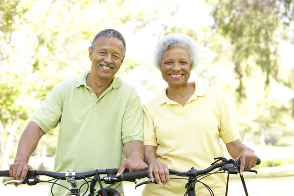 Senior Couple Riding Bikes Park Royalty Free Stock Images