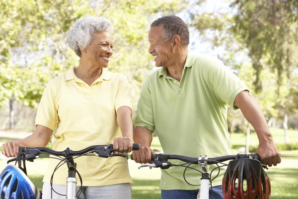 Senior Couple Riding Bikes Park Stock Photo