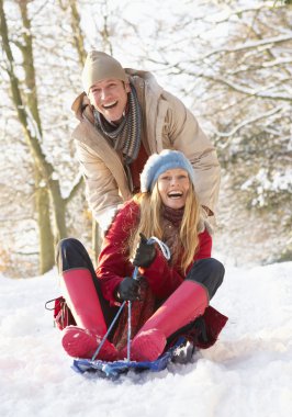 Couple Sledging Through Snowy Woodland clipart