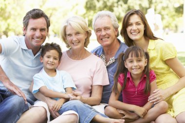 Extended Group Portrait Of Family Enjoying Day In Park clipart