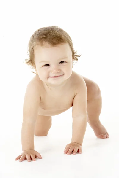Estudio Retrato Bebé Niño Arrastrándose — Foto de Stock