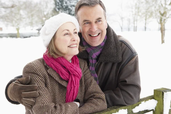 雪の風景に外に立っている年配のカップル — ストック写真