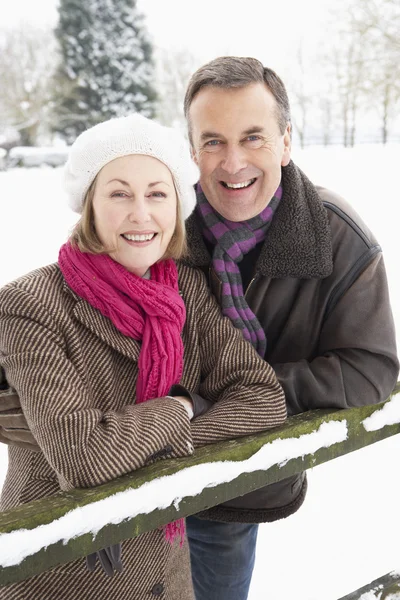 Äldre par stående utanför i snöiga landskap — Stockfoto