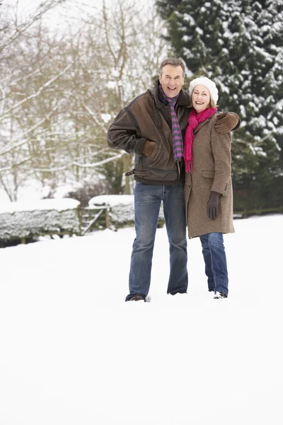 高级情侣走在雪域景观 — 图库照片