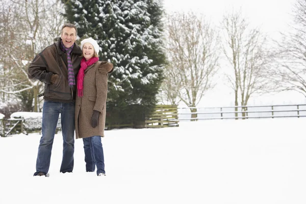 Starší pár, chůze v zasněžené krajině — ストック写真