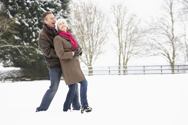 Senior Couple Walking In Snowy Landscape — Stock Photo, Image