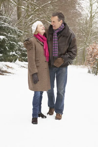 雪に覆われた森林を歩いて年配のカップル — ストック写真