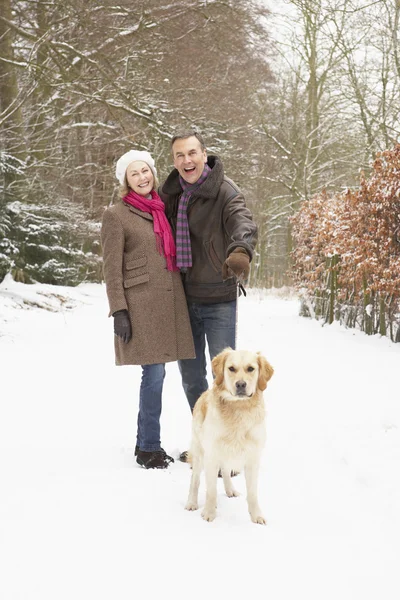 Senior Couple Walking Dog Snowy Woodland — Stock Photo, Image