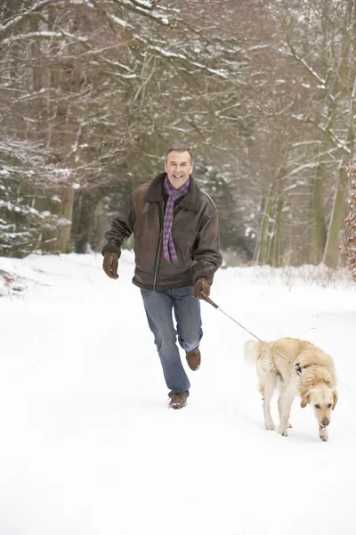 シニア男性雪に覆われた森林を歩いている犬 — ストック写真