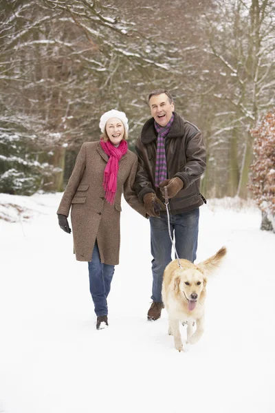 Seniorenpaar spaziert mit Hund durch verschneiten Wald — Stockfoto