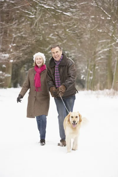 雪に覆われた森を通して年配のカップルを歩いている犬 — ストック写真