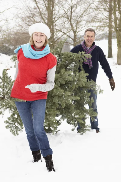 Старша пара носить різдвяну ялинку в сніжному пейзажі — стокове фото
