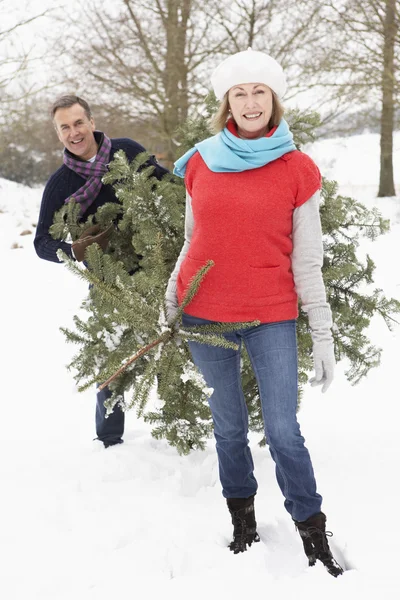 Seniorenpaar Trägt Weihnachtsbaum Verschneiter Landschaft — Stockfoto