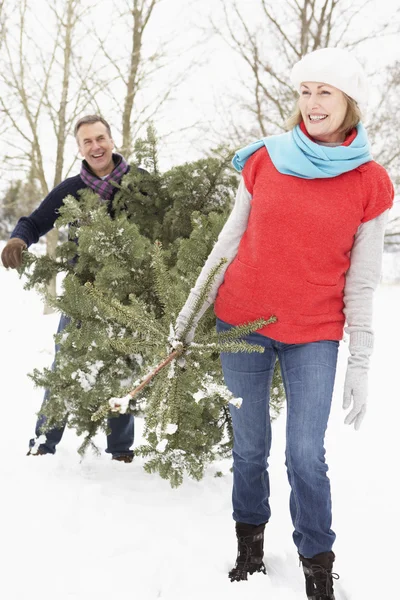 Seniorenpaar trägt Weihnachtsbaum in verschneiter Landschaft — Stockfoto