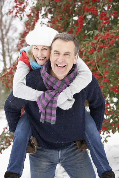 雪の風景に外年配のカップル — ストック写真