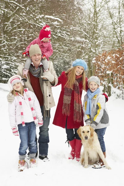 Rodzina spacer lasy śnieg — Zdjęcie stockowe