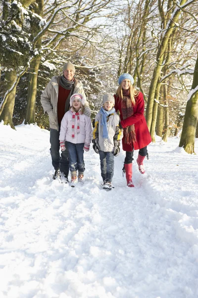 雪に覆われた森林を歩く家族 — ストック写真