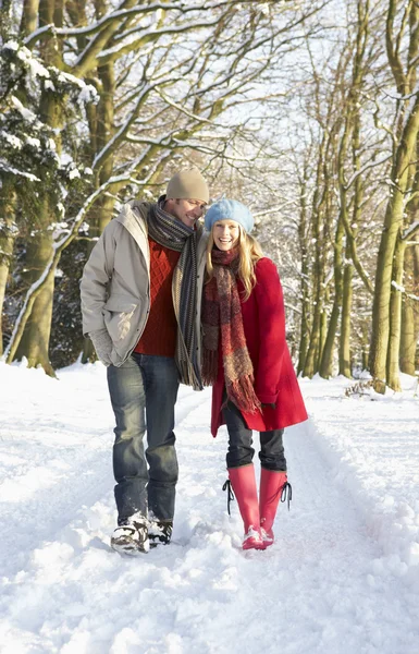 雪に覆われた森林を歩いてのカップル — ストック写真