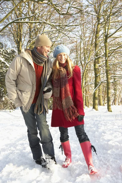 Casal caminhando pela floresta nevada — Fotografia de Stock