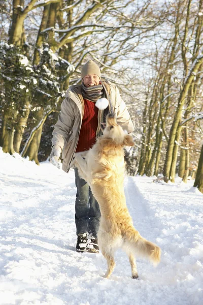 Περιπατητής σκύλος άνθρωπος μέσα από το χιονισμένο δάσος — Φωτογραφία Αρχείου