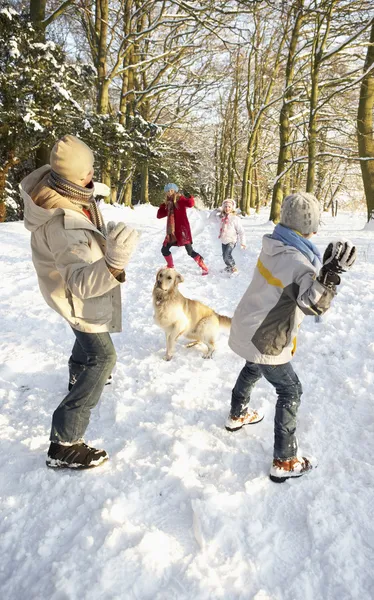 Famille ayant la bataille de boule de neige dans Woodland enneigé — Photo
