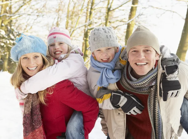 Família se divertindo Snowy Woodland — Fotografia de Stock
