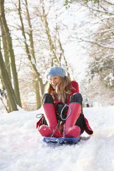 女子雪橇通过雪林地 — 图库照片