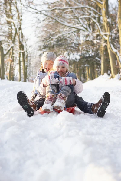 少年と少女の雪に覆われた森を通してソリ — ストック写真